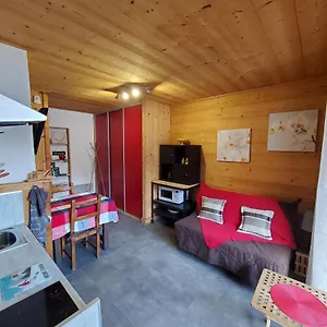  Apartment Chaleureux 2 Pieces Avec Terrasse A France